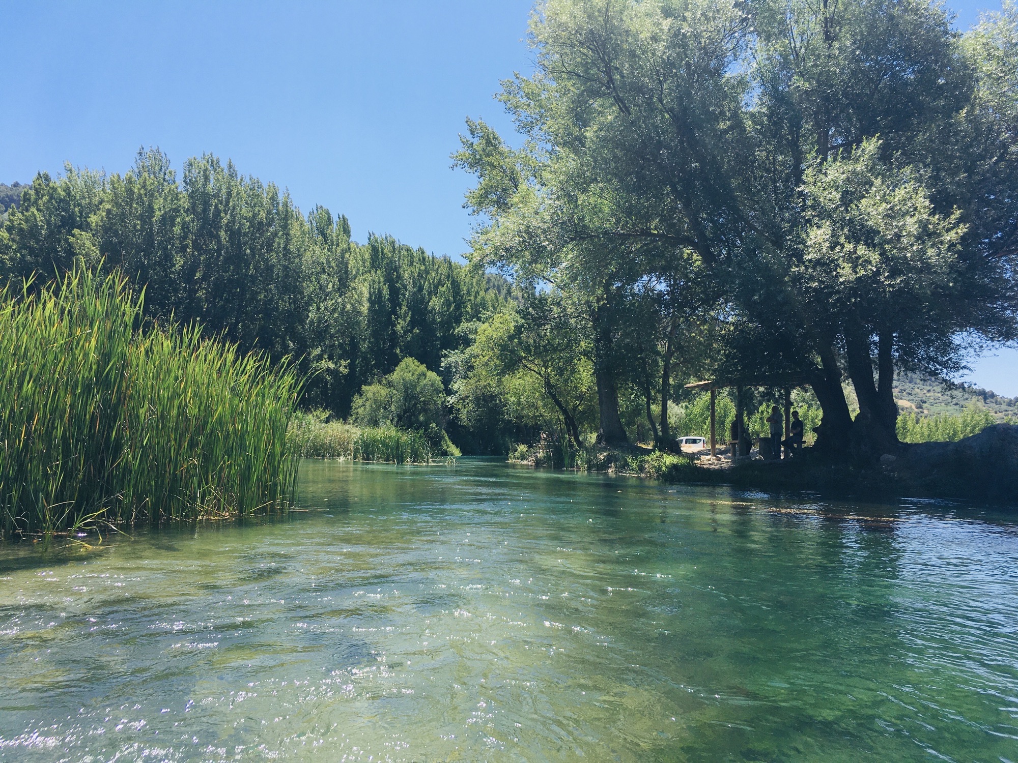 River in the Enchanted Forest