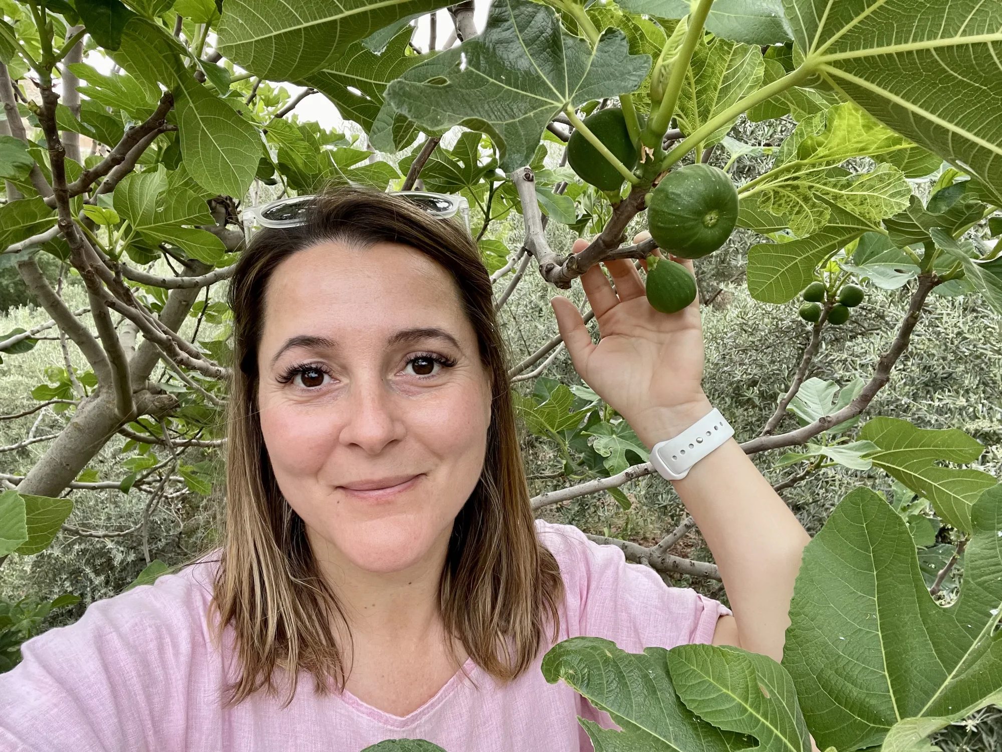 Under the fig tree