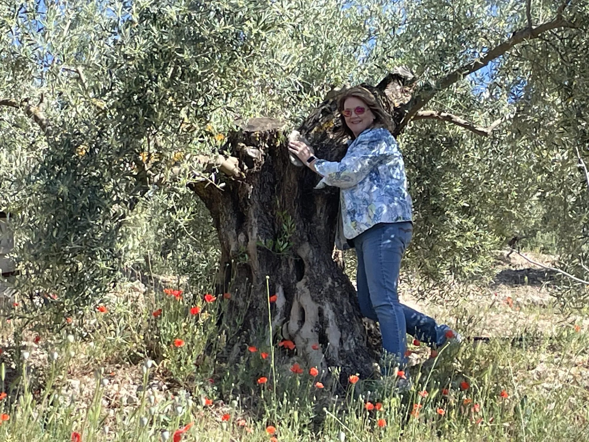 A moment with an ancient olive tree